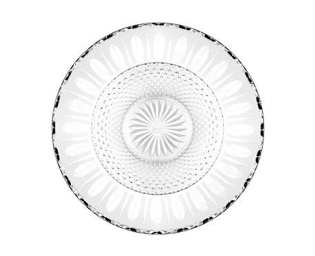 TOMMY COUPE SUR PIED - Thumbnail 4